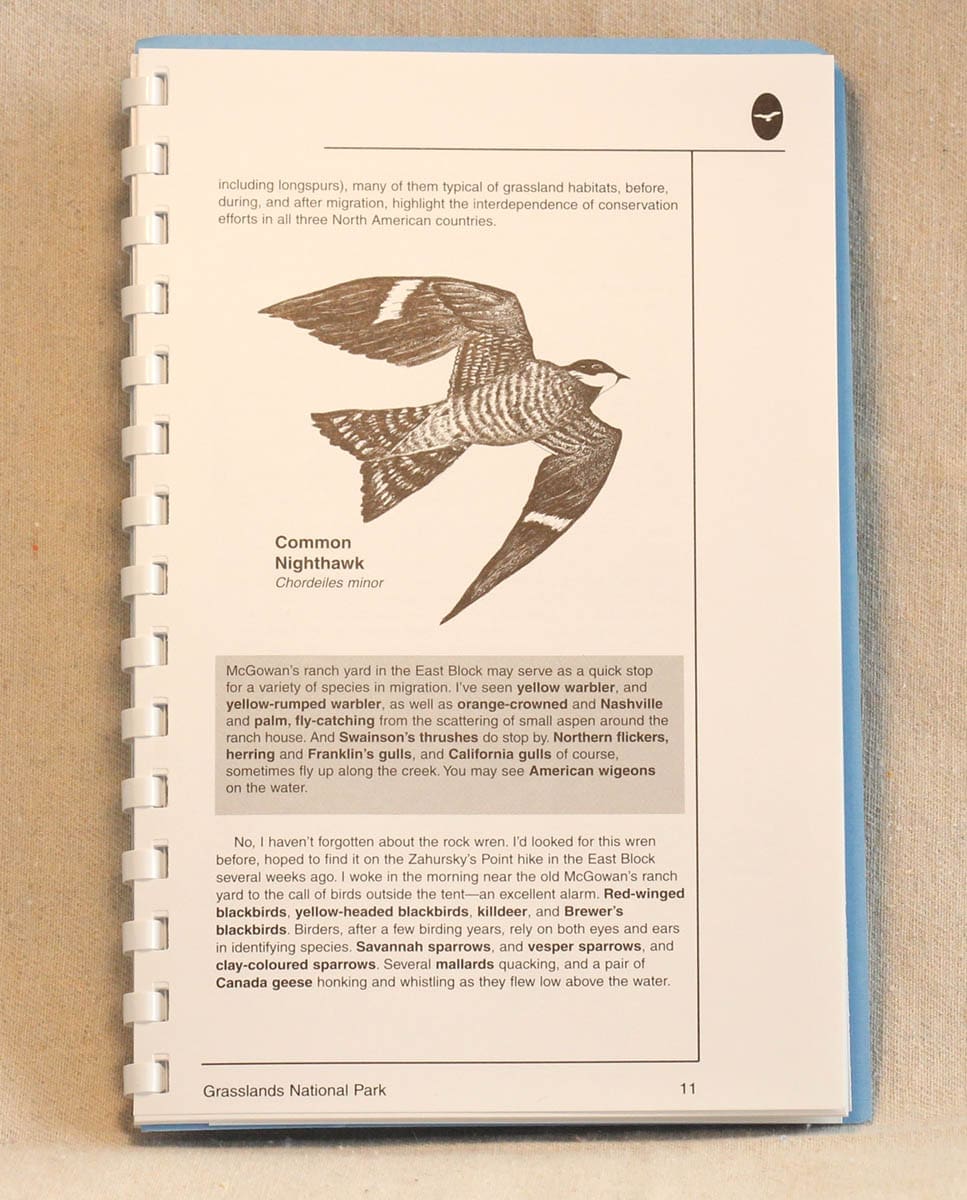 Guide to Birding nighthawk excerpt